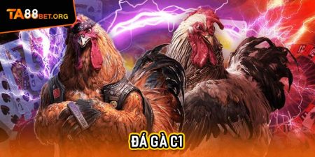Đá Gà C1 - Thưởng Thức Hàng Loạt Cuộc Chiến Nảy Lửa 5 đá gà c1