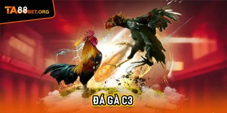 Đá Gà C3 Dậy Sóng - 3 Cuộc Chiến Ở TA88 Không Khoan Nhượng 8 Đá gà c3