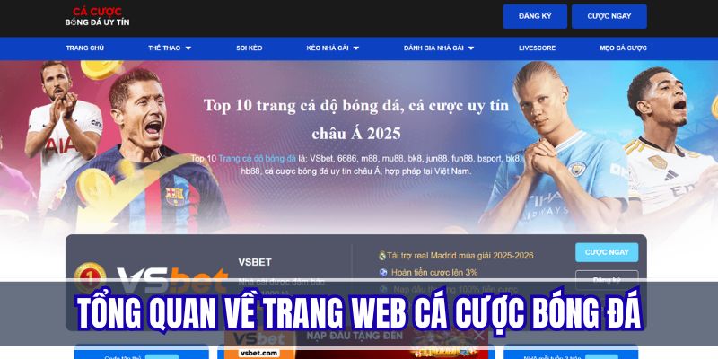 Giới thiệu về trang web cá cược bóng đá